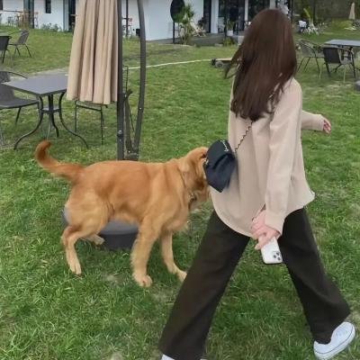 诅咒船长